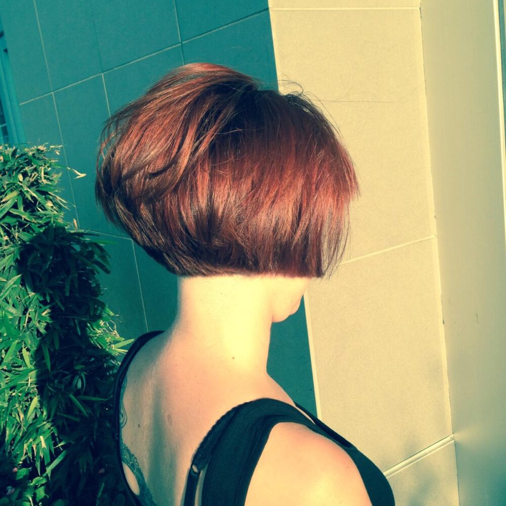 WhatsApp Image 2025-03-29 at 11.19.38 AM (1) WhatsApp Image 2025-03-29 at 11.19.38 AM (1)