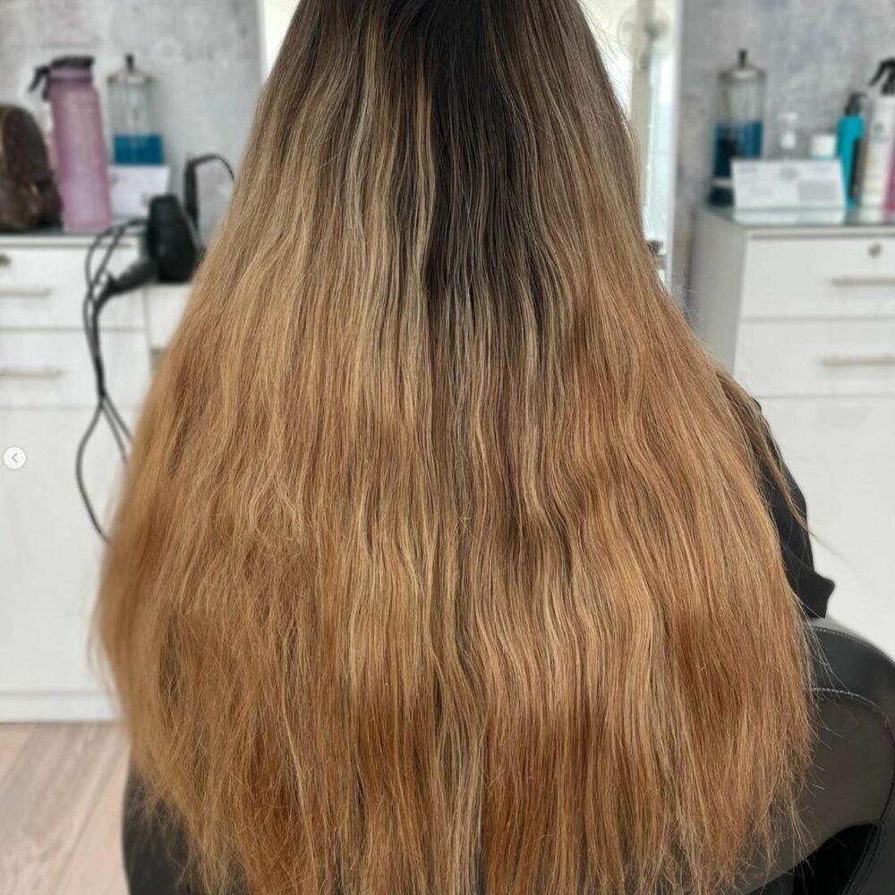 sss-suite-1-2 sss-suite-1-2